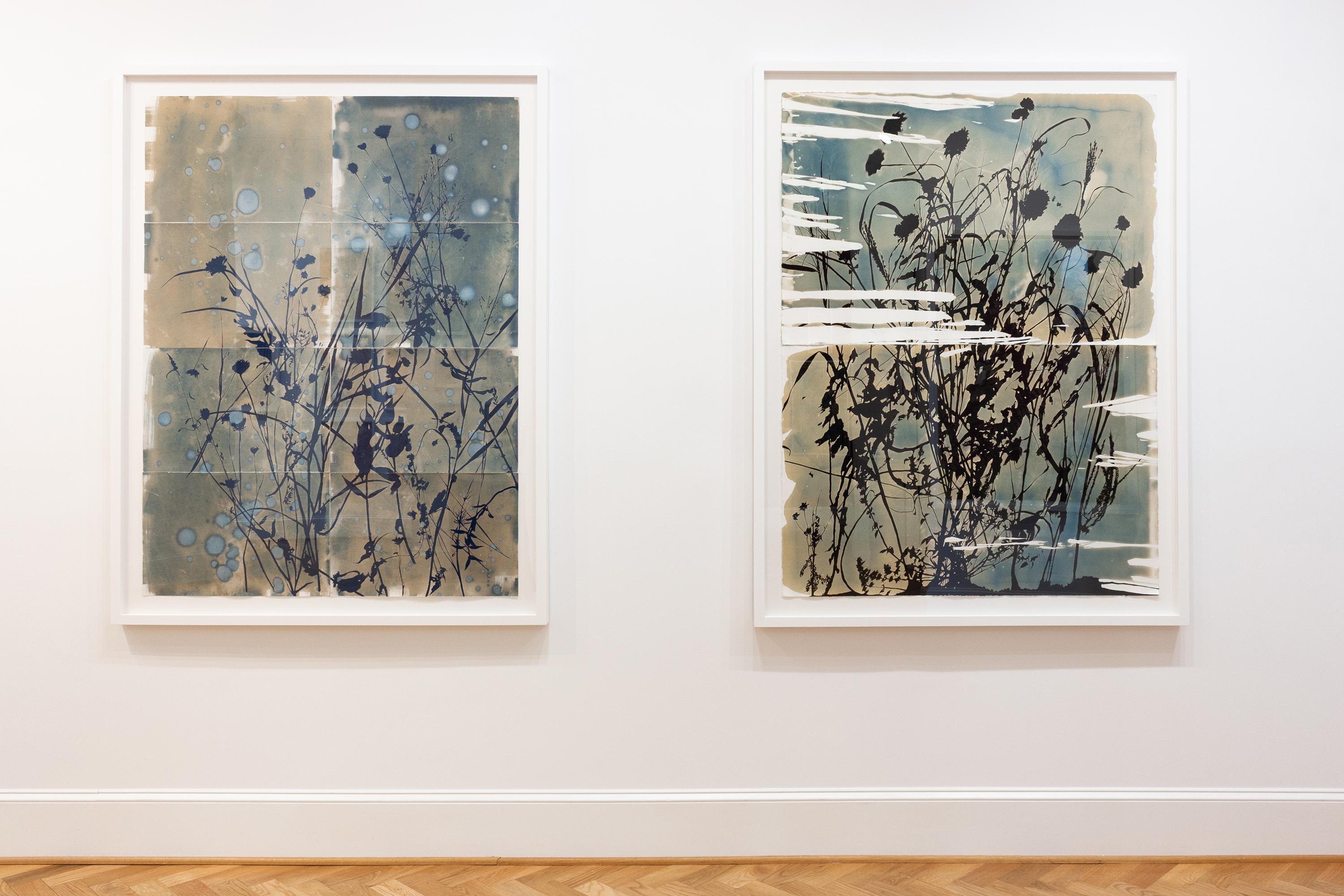 „This Place is a Dream (Entanglement)“ – botanisch – Cyanotypie – Blumen – stimmungsvoll im Angebot 1