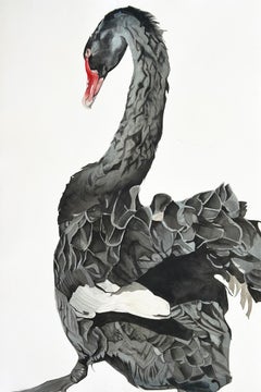 'Notiziario galattico n. 3' - Cigno nero - disegno di animali in grande scala