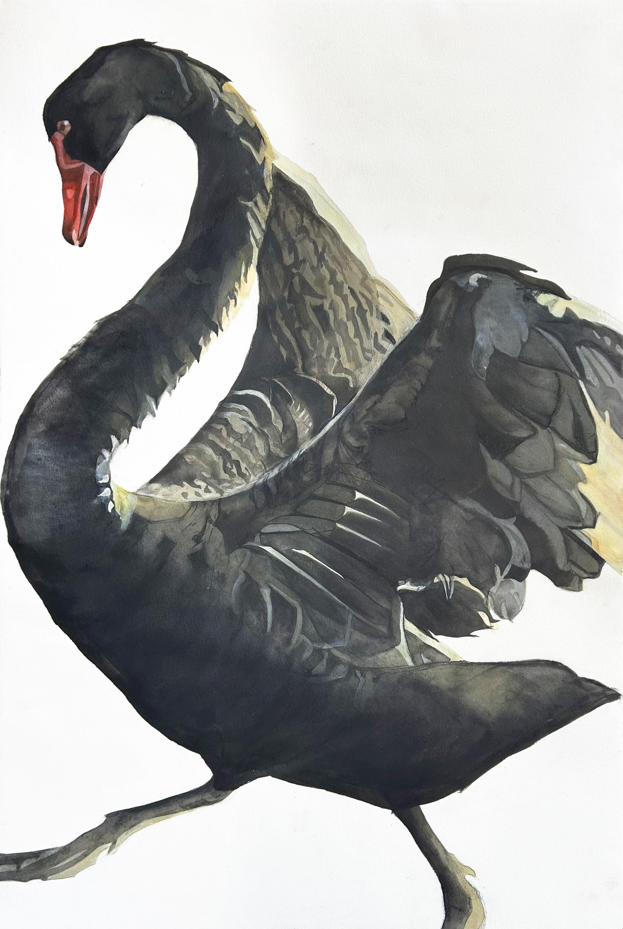 'Galactic Noticing No. 7' - Black Swan - large-scale animal drawing - texture