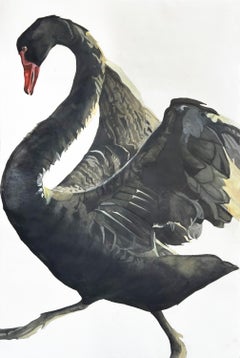 'Galactic Noticing No. 7' - Cigno nero - disegno di animali in grande scala - texture