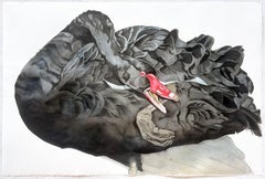 Galactic Noticing No. 6" - Schwarzer Schwan - großformatige Tierzeichnung - Textur