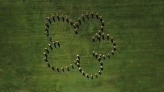 quoi est-ce que c'est et/ou rien ? - Fleur""" - Photographie de paysage - Goldsworthy