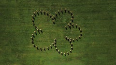 quoi est-ce que c'est et/ou rien ? - Fleur""" - Photographie de paysage - Goldsworthy