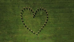 Was für alles und/oder nichts? - Herz"" - Landschaftsfotografie - Goldsworthy