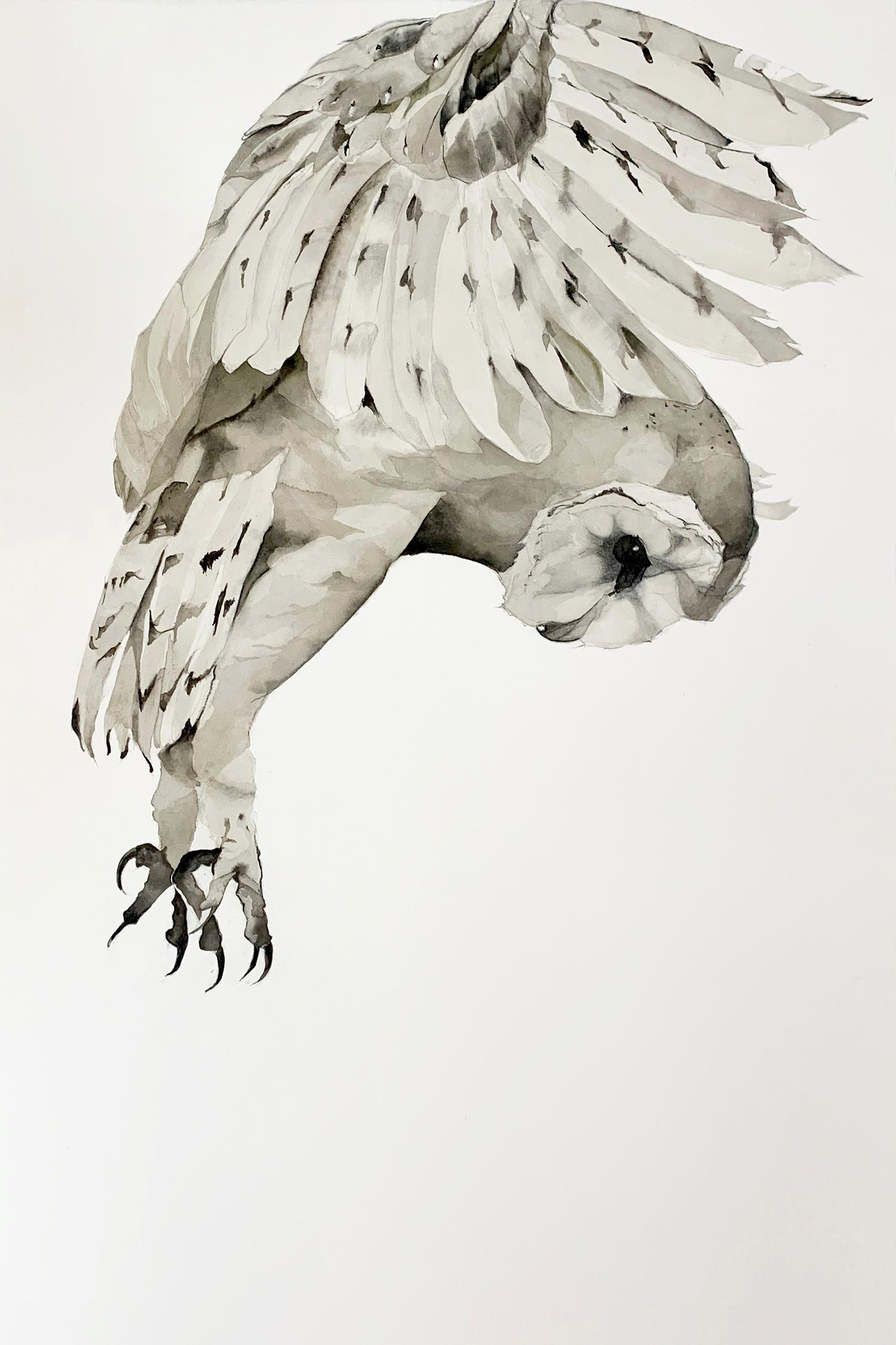 Heather Lancaster Animal Art - "Lift" - Large Scale Contemporary Gestural Animal Drawings - Barn Owl - Dürer