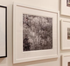 15 „Tahoochee“-Schale