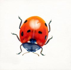 'Red Beetle #7' - insect illustration - hyperrealism - Chuck Close