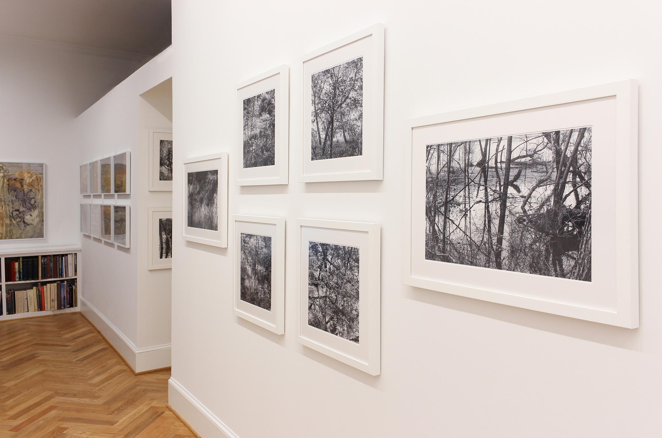„Ein versteckte Geometrie“ – Schwarz-Weiß – Landschaftsfotografie – Eliot Porter (Zeitgenössisch), Photograph, von Richard Skoonberg