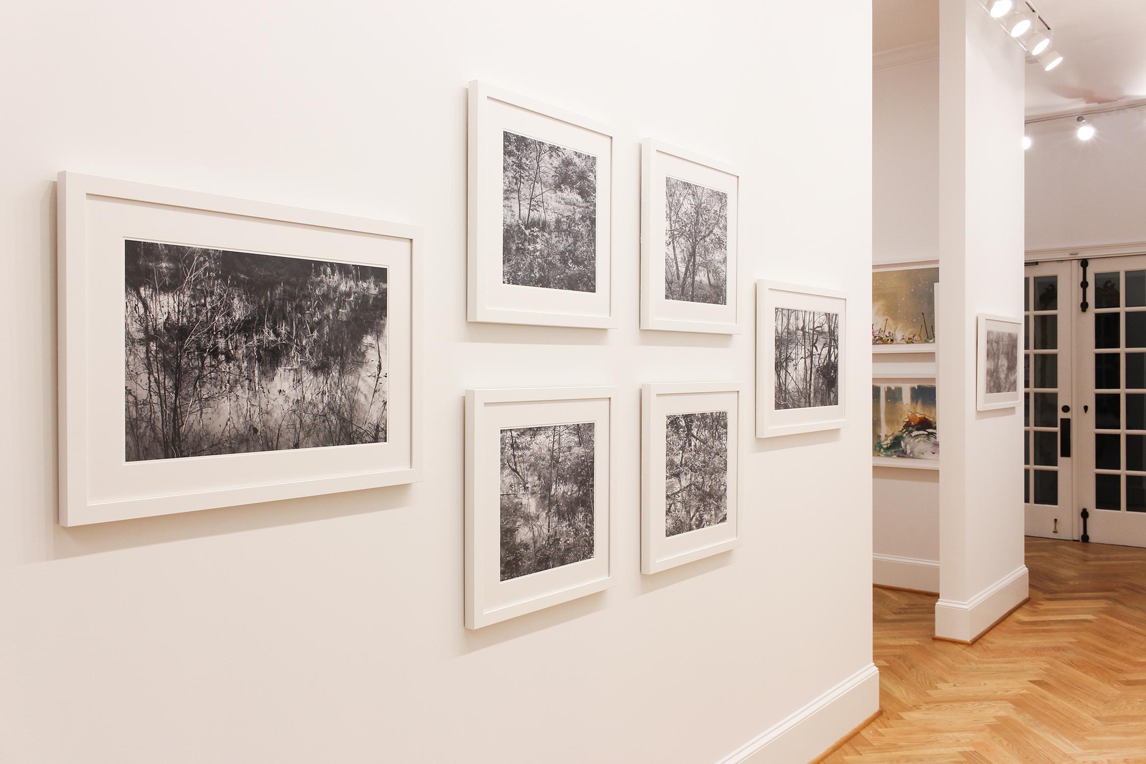 « Un étang éphémère en été » - Photographie de paysage - Eliot Porter - Noir Landscape Photograph par Richard Skoonberg