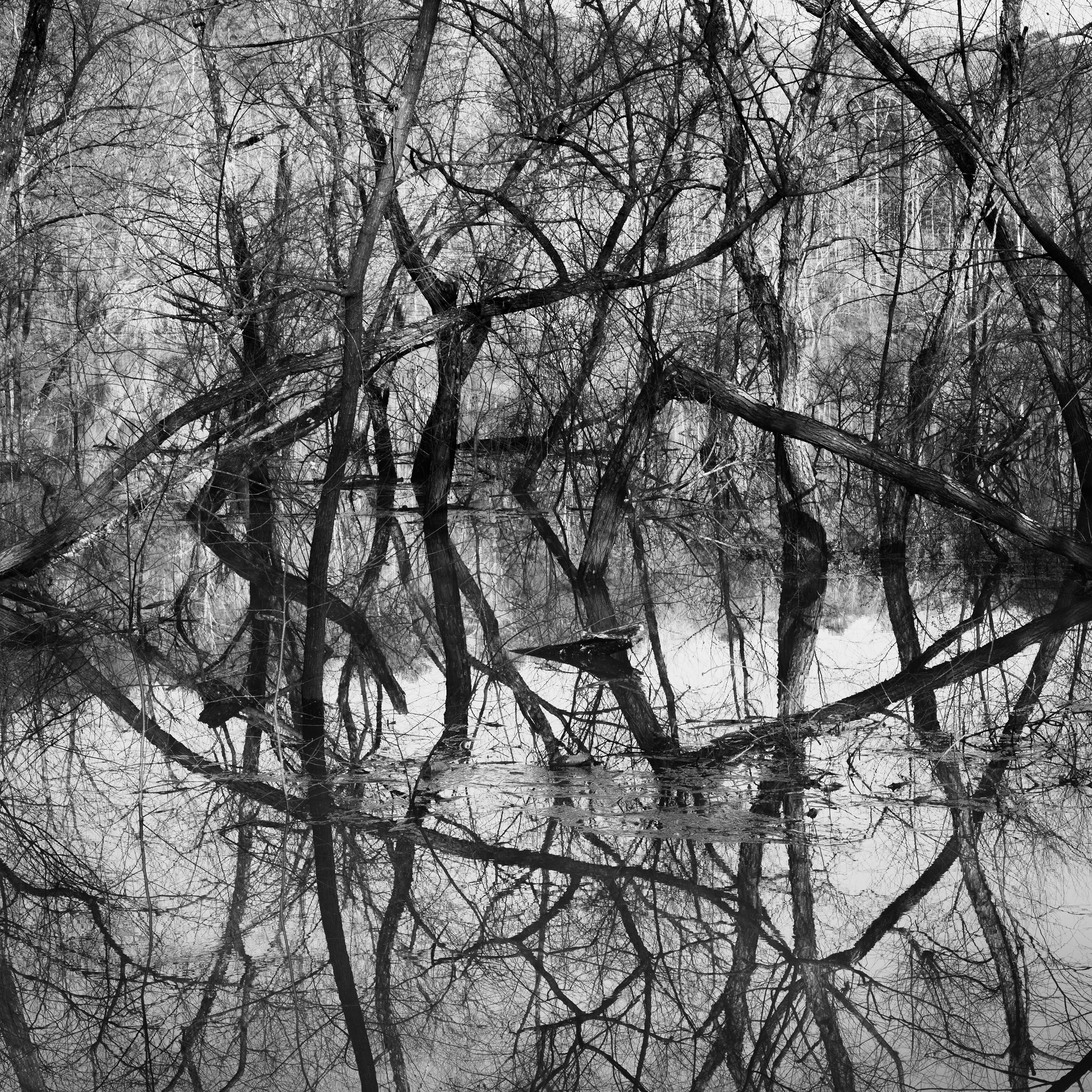 'Reflections of Self' is a black and white landscape photograph taken near the Chattahoochee River. Additional sizes are available. This listing is for an unframed print, edition 1/10.

Richard Skoonberg is inspired by the work of Eliot Porter, Lee