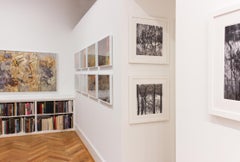 Riflessi di sé" - Bianco e nero - Fotografia di paesaggio - Eliot Porter