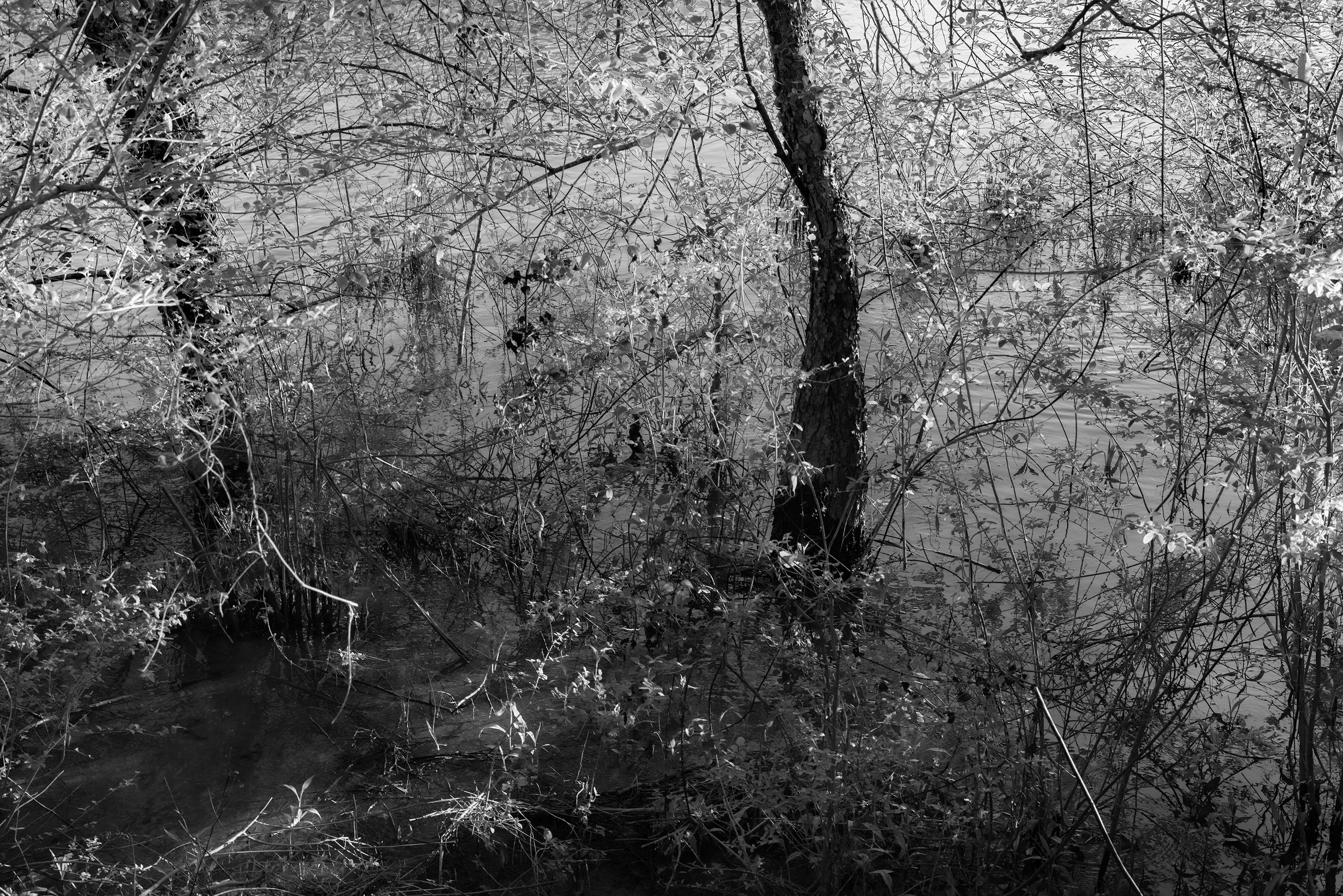 Richard Skoonberg Black and White Photograph - 'River Abstract' - Black and White - Landscape Photography - Eliot Porter