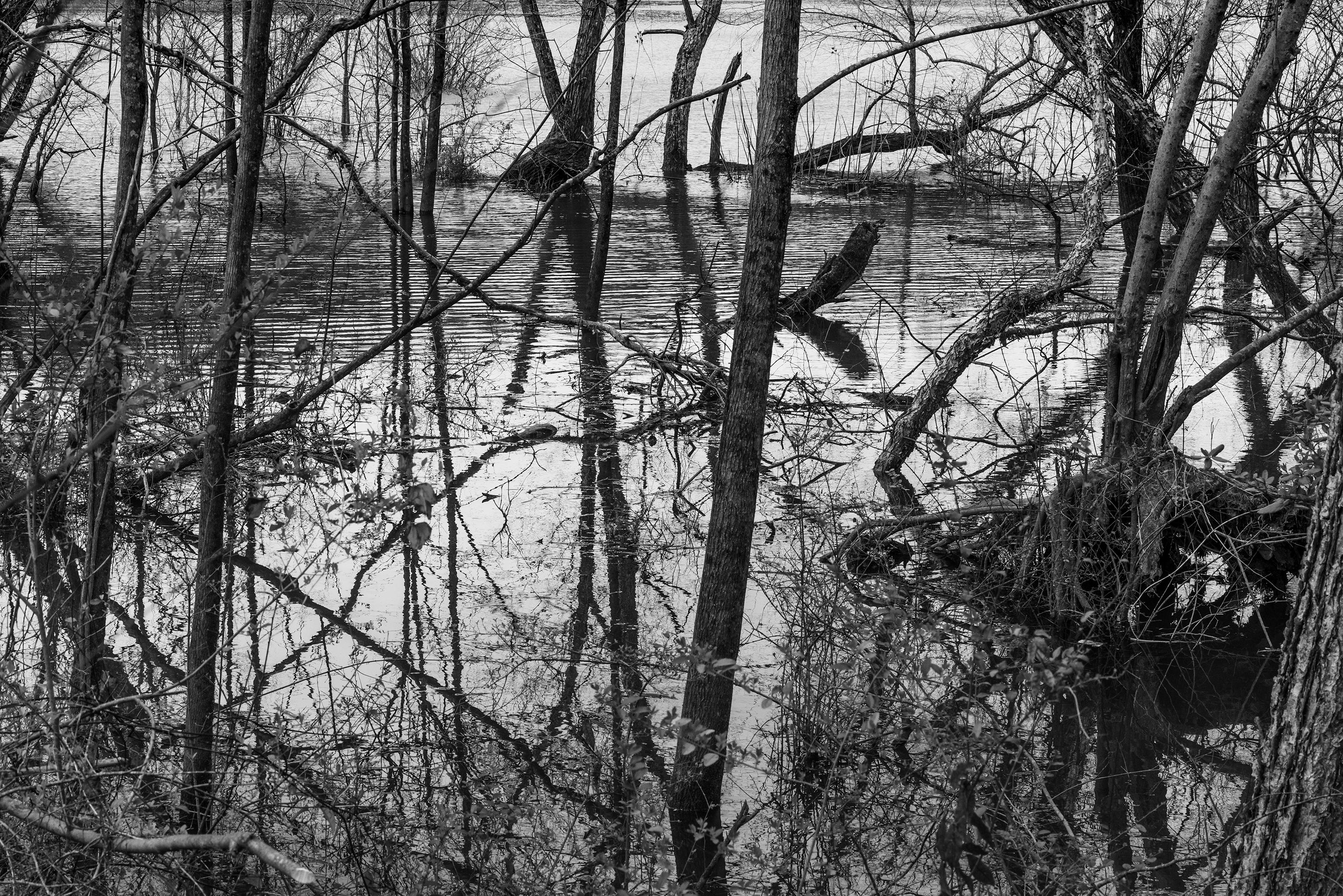 Richard Skoonberg Black and White Photograph - 'Rising Water' - Black and White - Landscape Photography - Eliot Porter