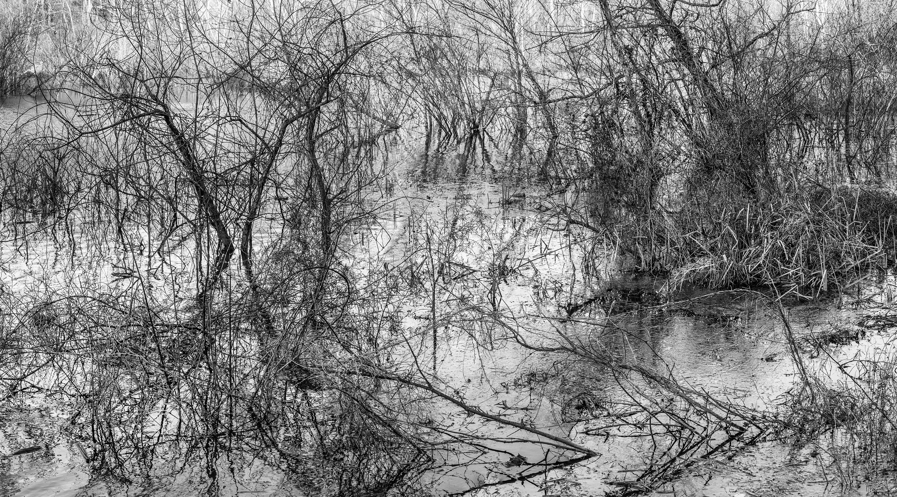 Richard Skoonberg Landscape Photograph – „River-Radierung“ – Schwarz-Weiß – Landschaftsfotografie – Eliot Porter