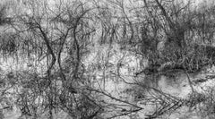 'River Etching' - Black and White - Landscape Photography - Eliot Porter