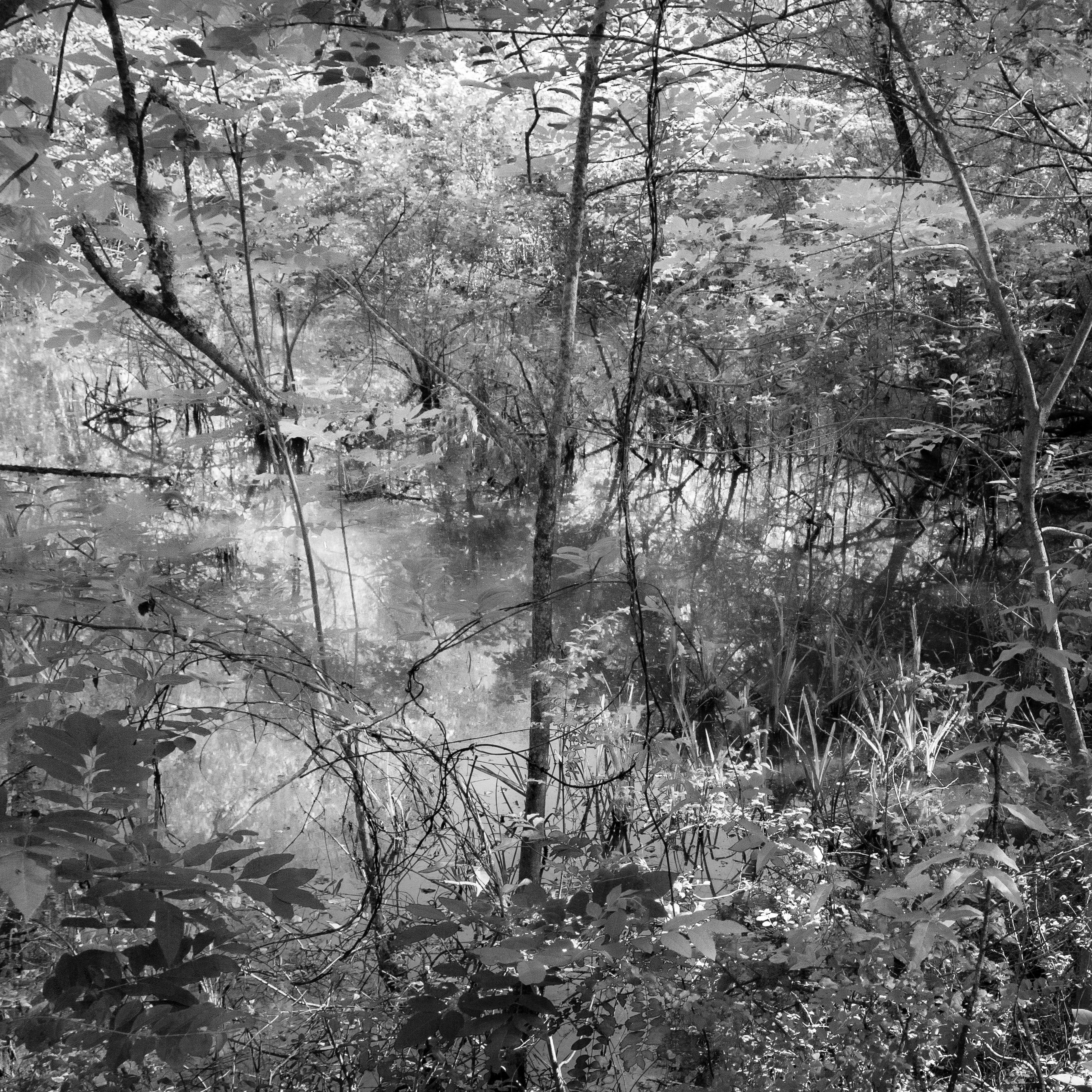 Richard Skoonberg Black and White Photograph - 'Spring Flood' - Black and White - Landscape Photography - Eliot Porter