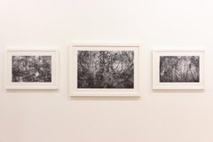 'The Flooded Forest' - Black and White - Landscape Photography - Eliot Porter