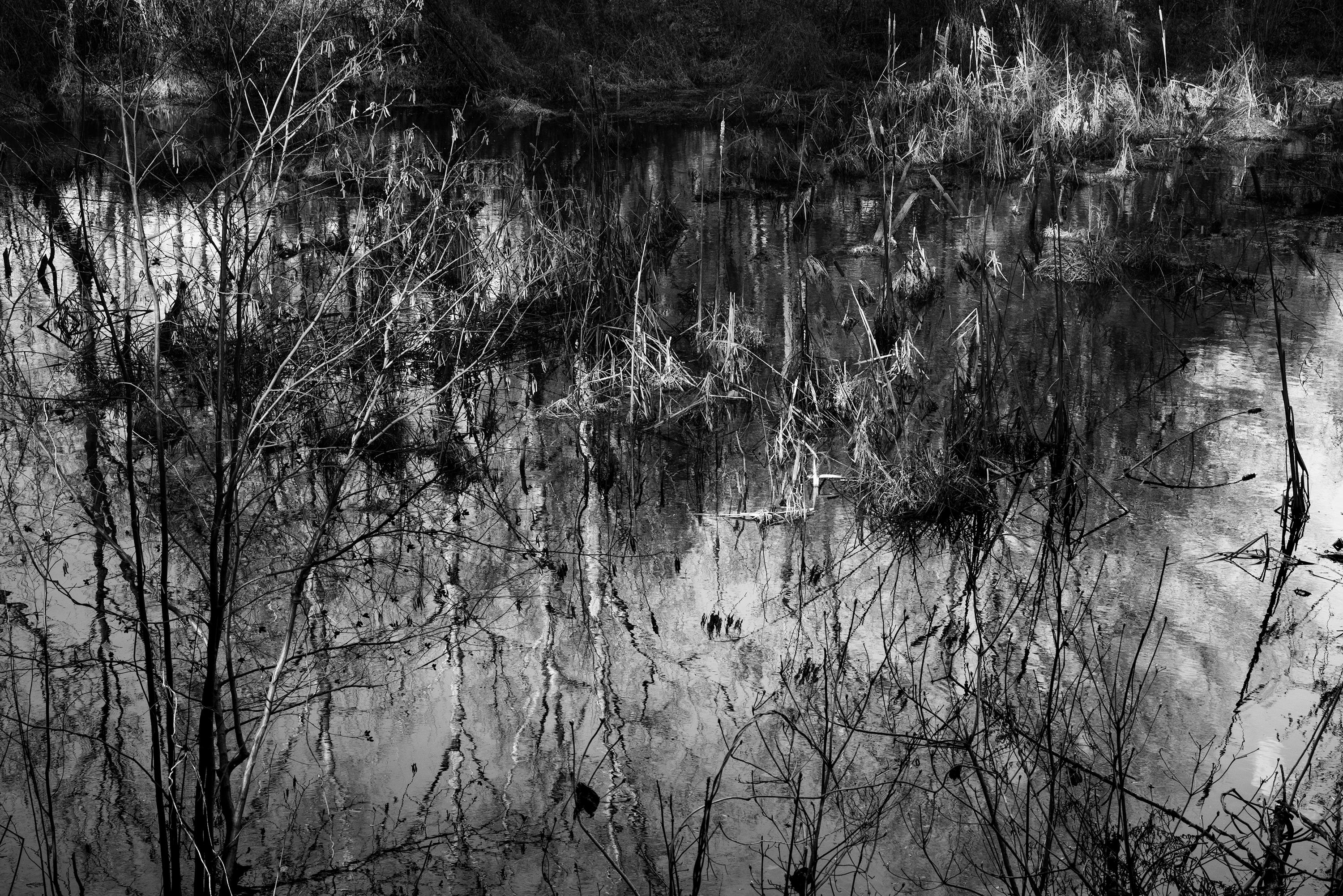 Richard Skoonberg Black and White Photograph - 'The Quiet Pool' - Black and White - Landscape Photography - Eliot Porter