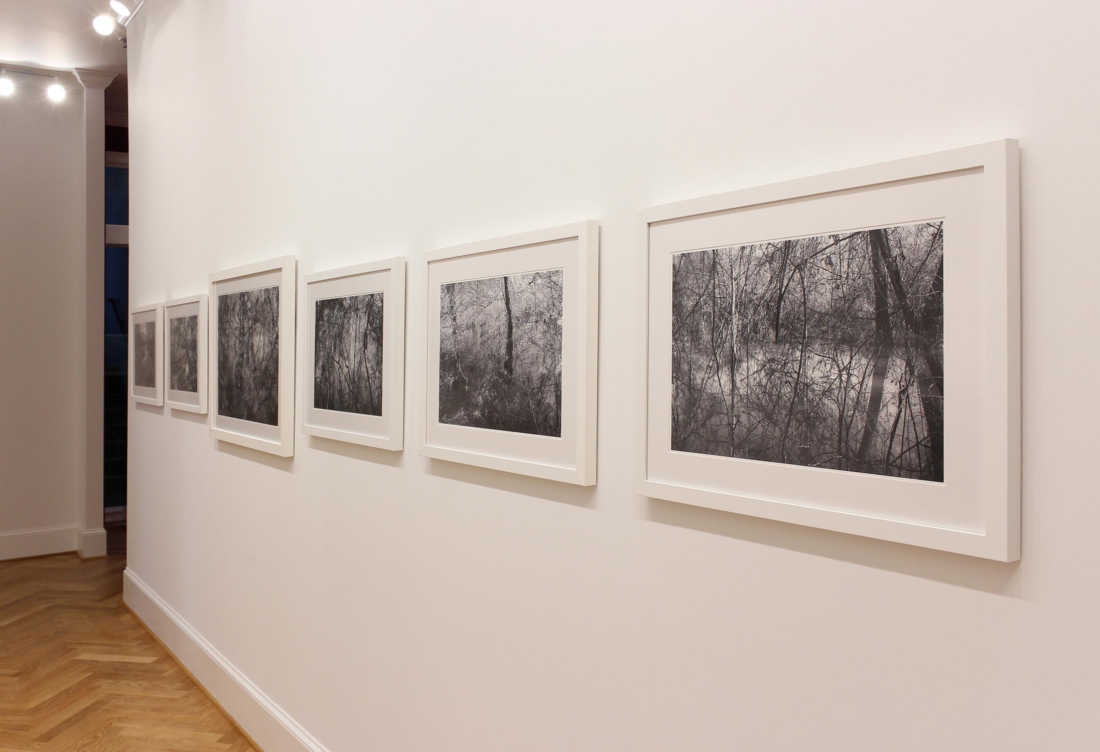„Thicket“ – Schwarz-Weiß-Landschaftsfotografie – Eliot Porter – Photograph von Richard Skoonberg