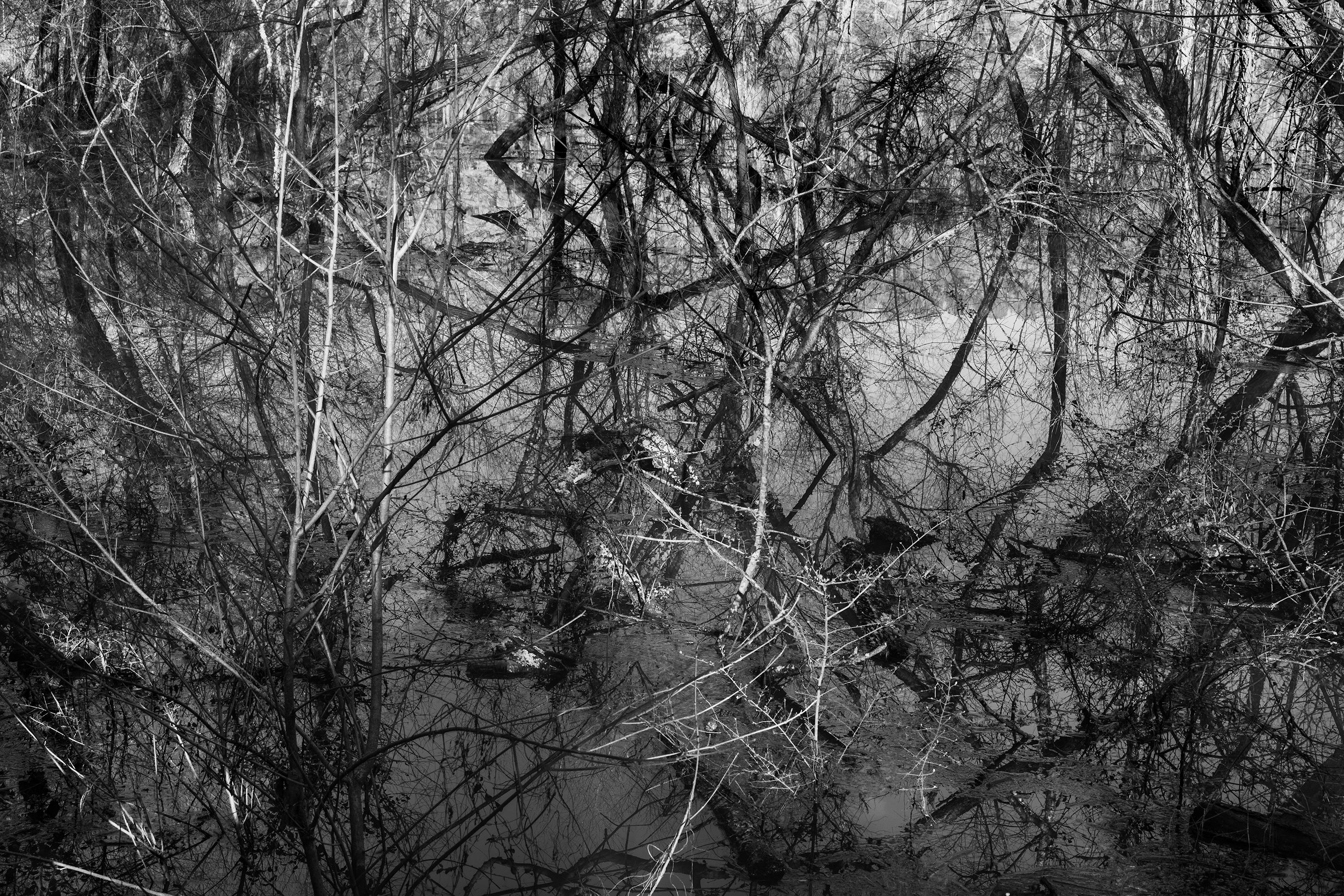 Black and White Photograph Richard Skoonberg - 'Winter Opus' - Noir et Blanc - Photographie de paysage - Eliot Porter