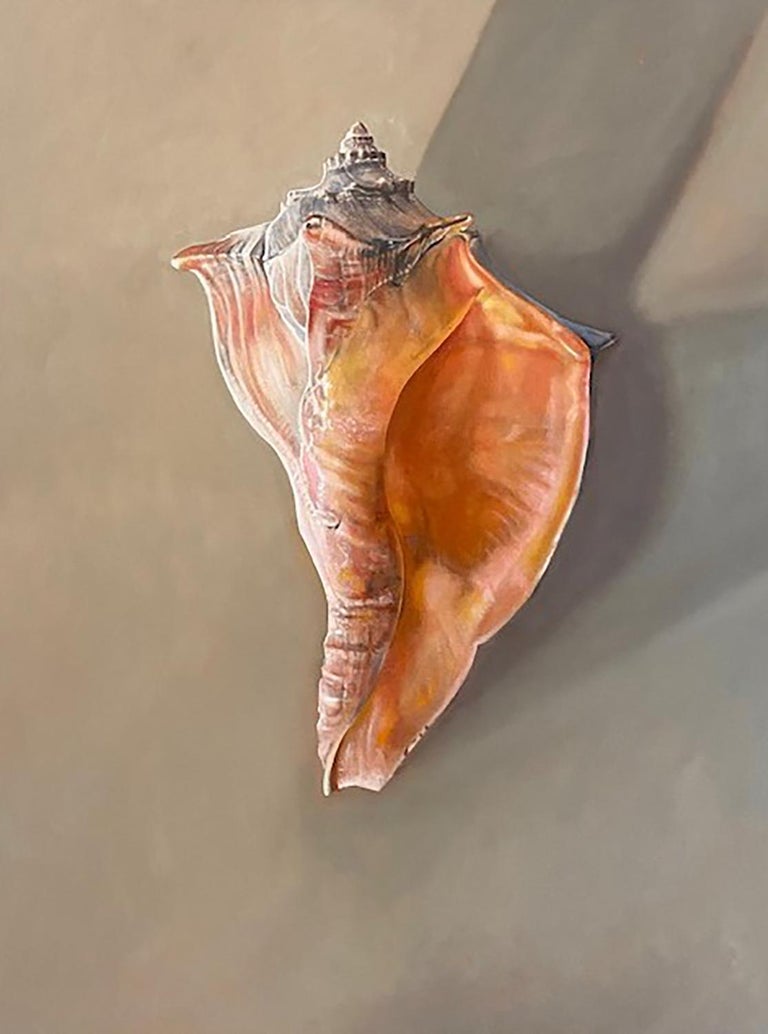 Jim Wise Shell Jim Wise -