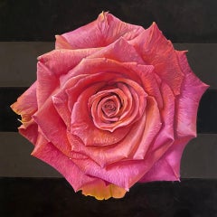 "Pink Rose in Quarantine" - floral painting - realism - Rene Magritte