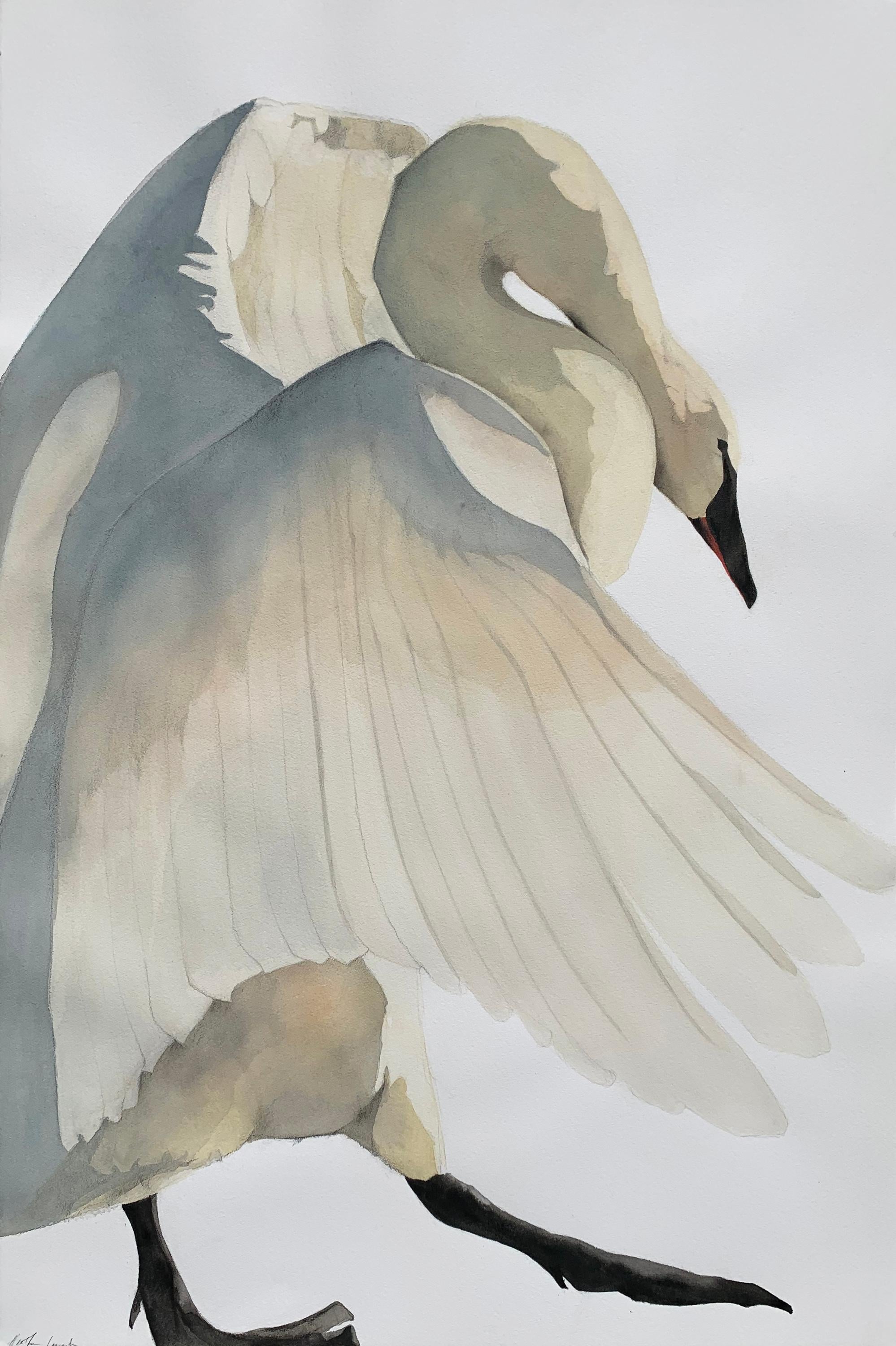 Heather Lancaster Animal Art - "Cadence" - Swan Portrait - Large Scale Animal Drawing - Audubon - Durer