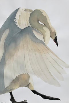 "Cadence" - Swan Portrait - Large Scale Animal Drawing - Audubon - Durer