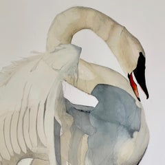 "Deepening" - Swan Portrait - Large Scale Animal Drawing - Audubon - Durer