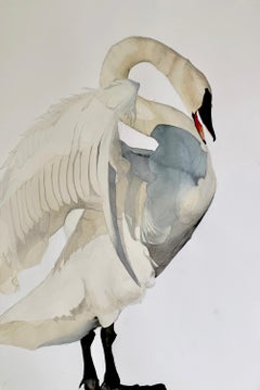 "Deepening" - Swan Portrait - Large Scale Animal Drawing - Audubon - Durer