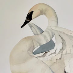 "Rest" - Swan Portrait - Large Scale Animal Drawing - Audubon - Durer