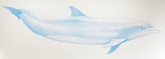 'Bottlenose Dolphin' - large-scale animal drawing - Chuck Close - Rembrandt