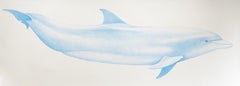« Bottlenose Dolphin » - dessin d'animal à grande échelle - Chuck Close - Rembrandt