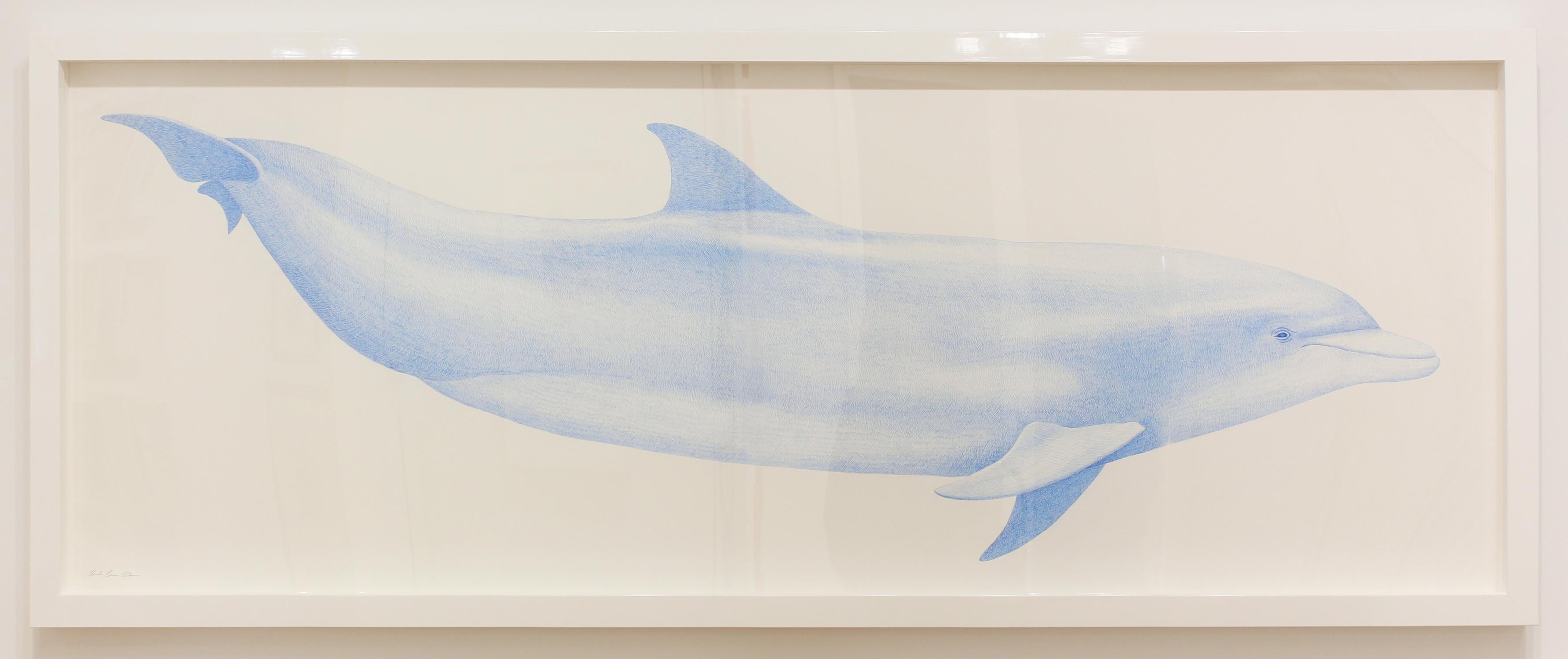 „Bottlenose- Delphin“ – großformatige Tierzeichnung – Chuck Close – Rembrandt (Grau), Animal Art, von Hannah Hanlon