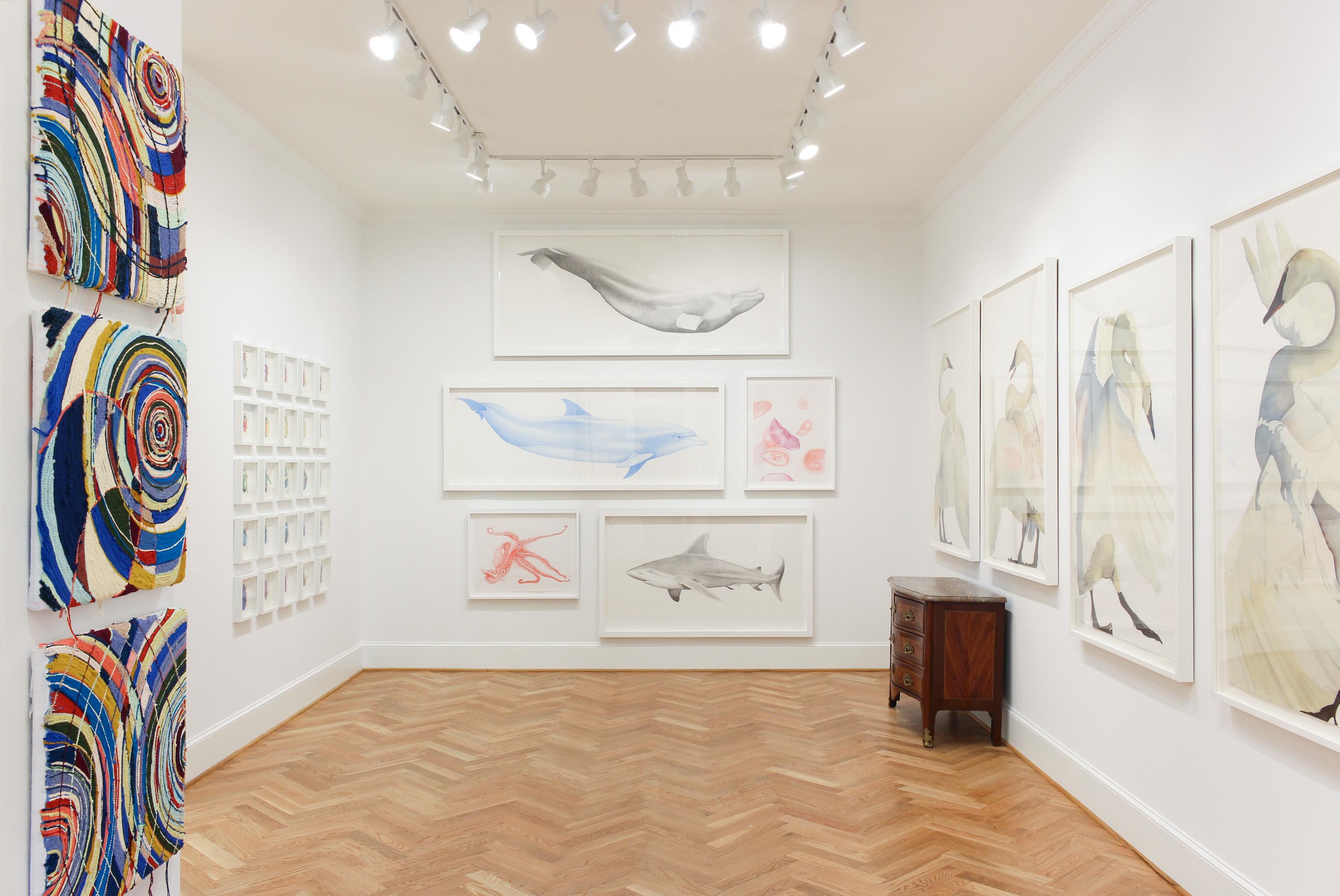 „Bottlenose- Delphin“ – großformatige Tierzeichnung – Chuck Close – Rembrandt 2