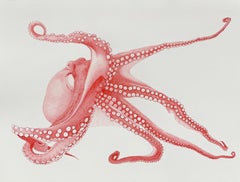 'Red Octopus' - contemporary animal drawing - Chuck Close - Rembrandt