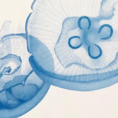 'Stillness' - realist animal drawing - Chuck Close - Rembrandt