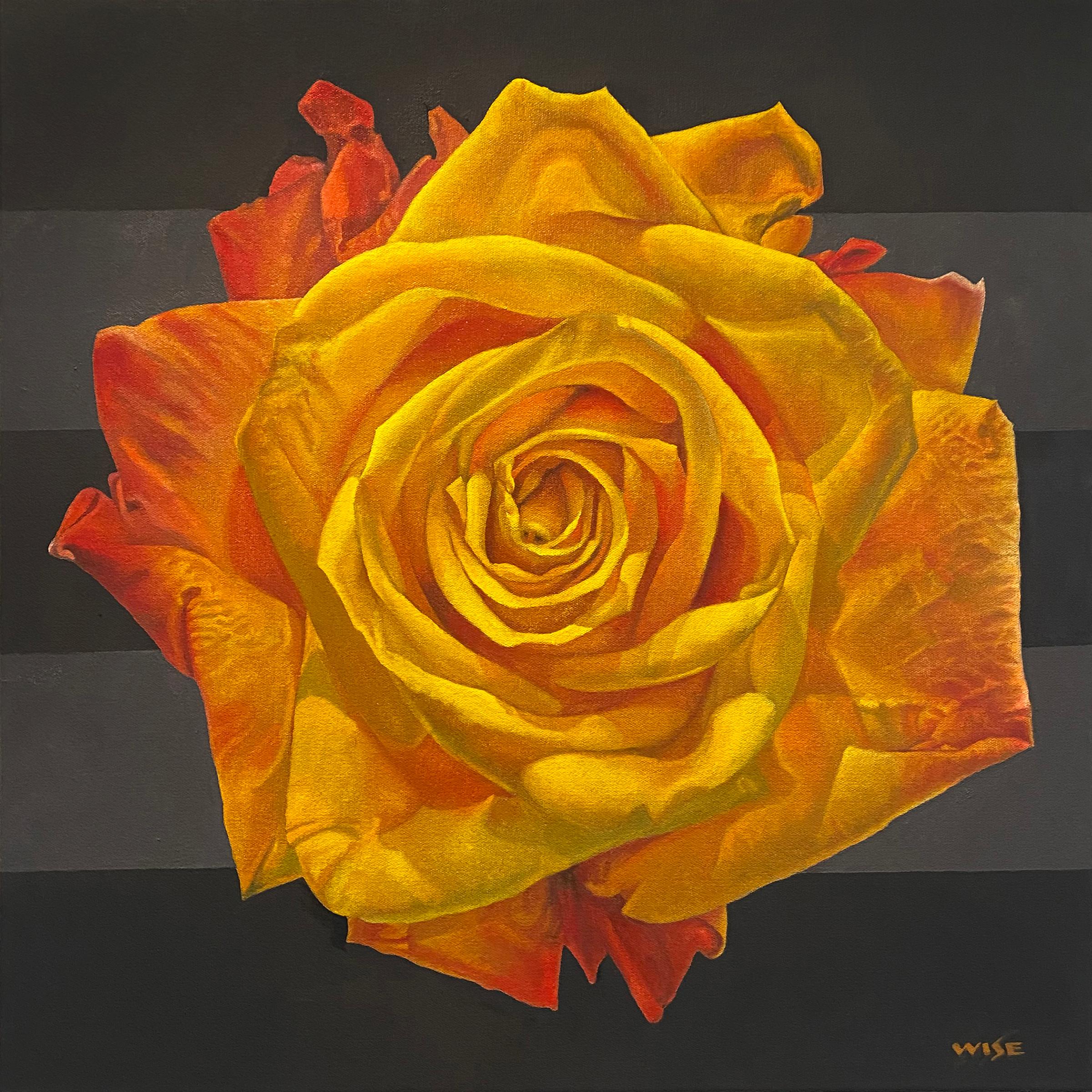 Jim Wise Still-Life Painting - "Flame Rose I" - floral painting - rose still life - Georgia O'Keeffe
