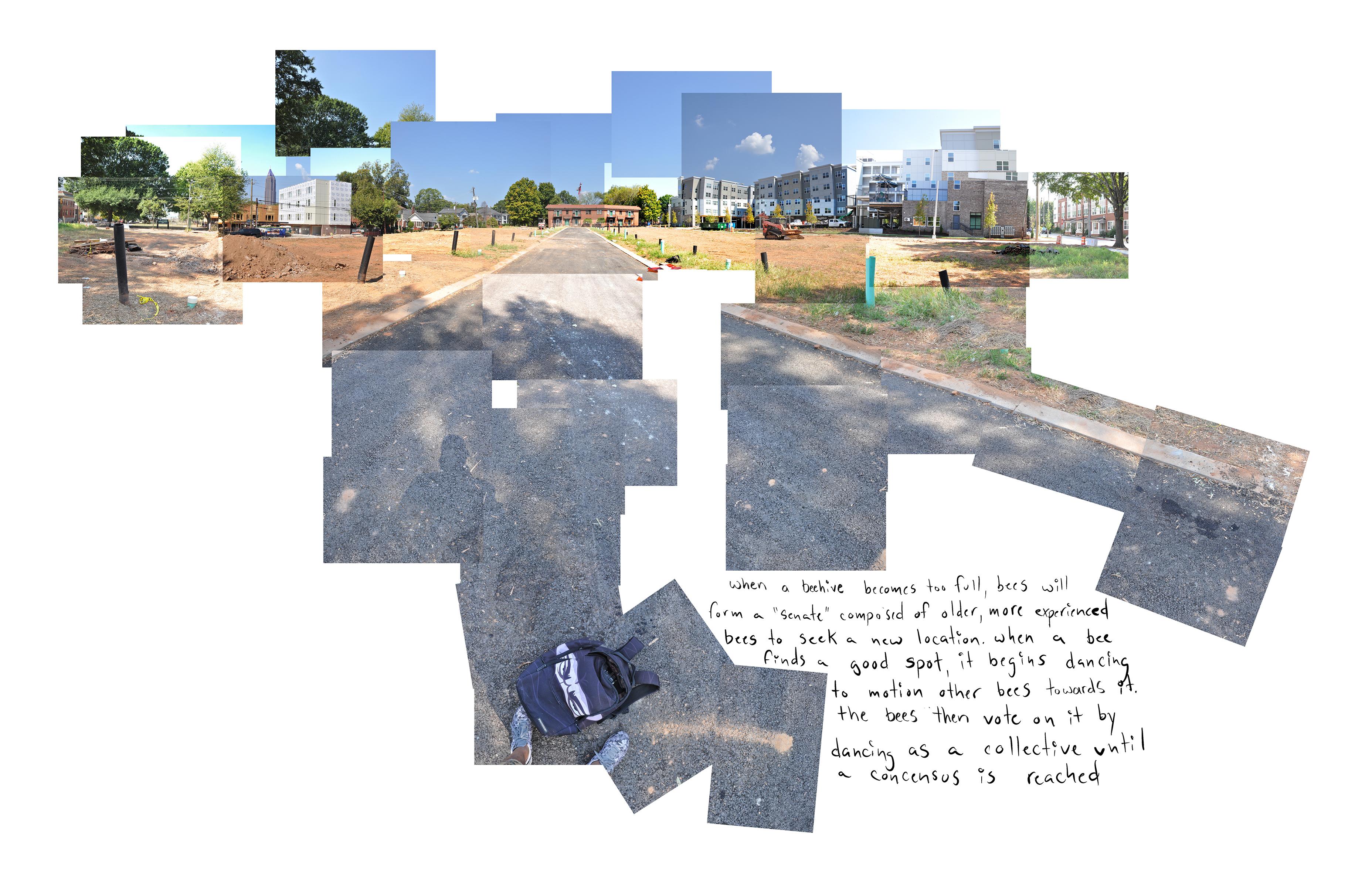 Willis Landscape Photograph - "The Senate Has Spoken" - urban landscape - composite image - David Hockney