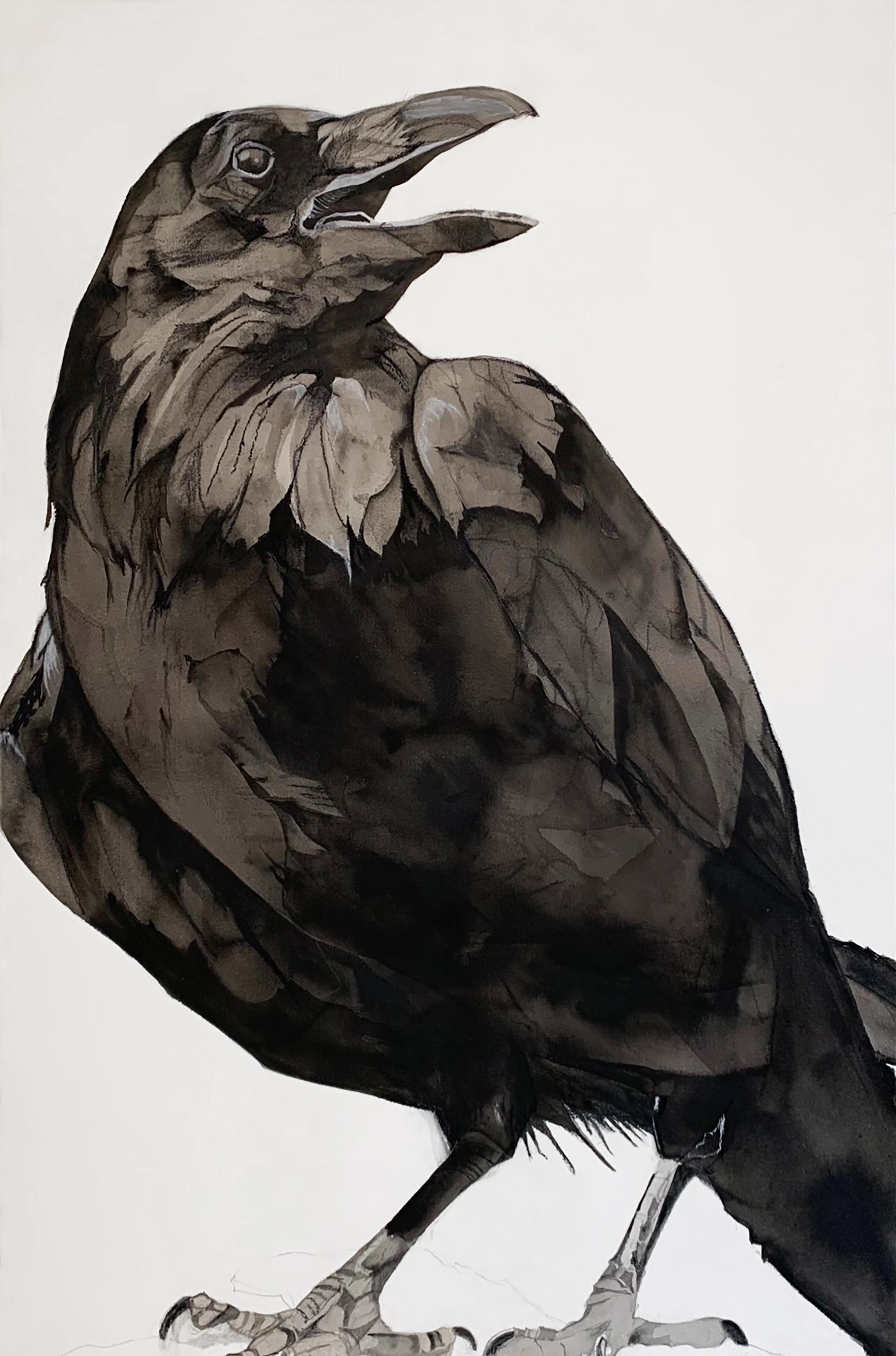 Heather Lancaster Animal Art - "Call" - Raven Portrait - Large Scale Animal Drawing - Audubon - Durer
