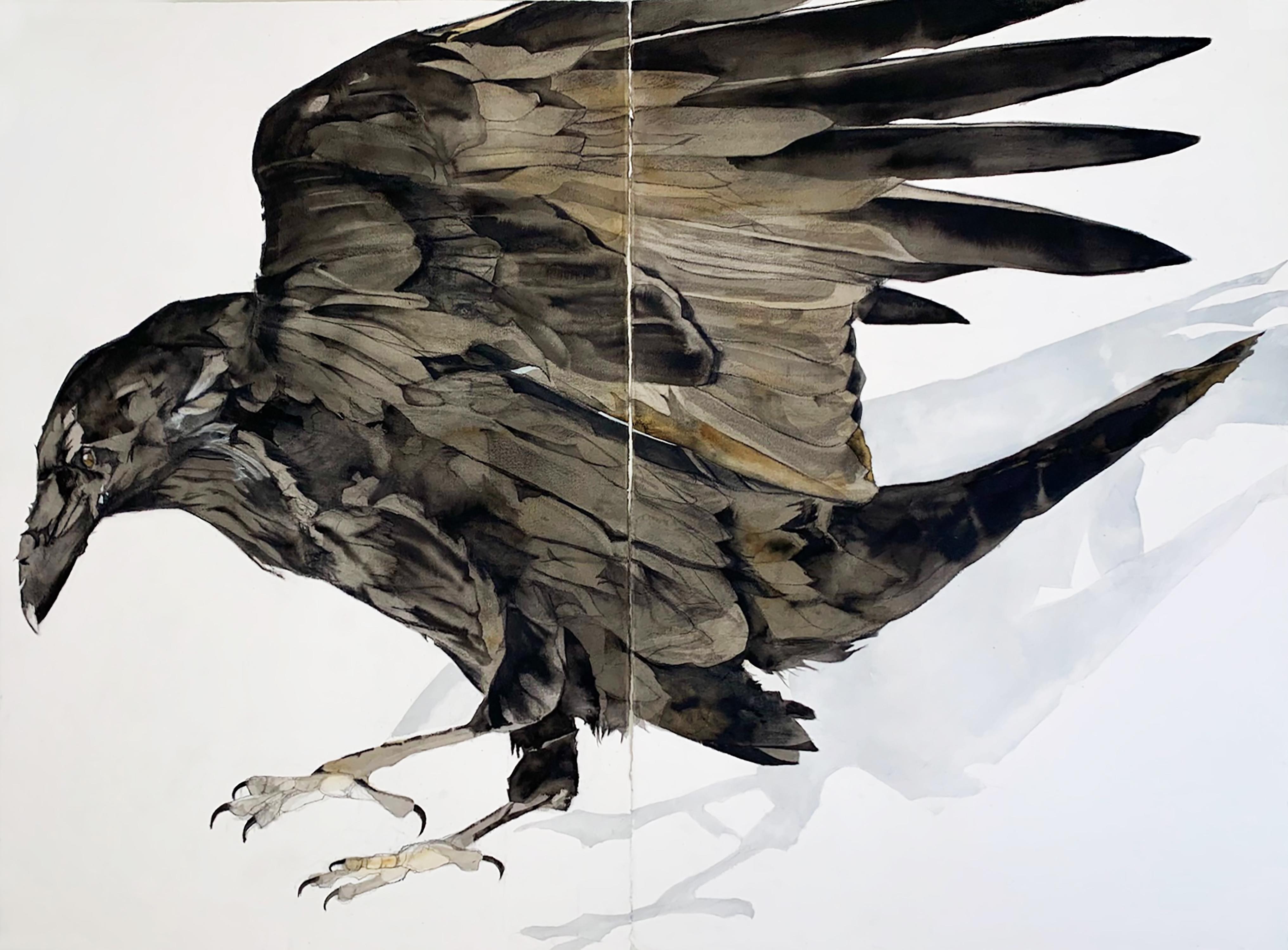 Heather Lancaster Animal Art - "Indication" - Raven Portrait - Large Scale Animal Drawing - Audubon - Durer