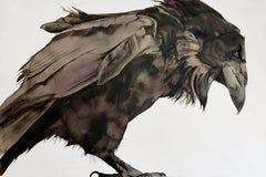 "Offer" - Raven Portrait - Large Scale Animal Drawing - Audubon - Durer