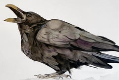 "Rattle" - Raven Portrait - Large Scale Animal Drawing - Audubon - Durer