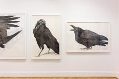 "Rattle" - Raven Portrait - Large Scale Animal Drawing - Audubon - Durer