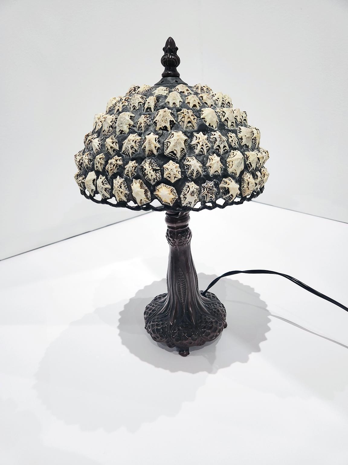 14-inch high limpet shell and bronze table lamp from Richard Hoosin Studio with three-way incandescent bulb. Inscribed Hoosin P98300 and dated 98 on top of shade.  