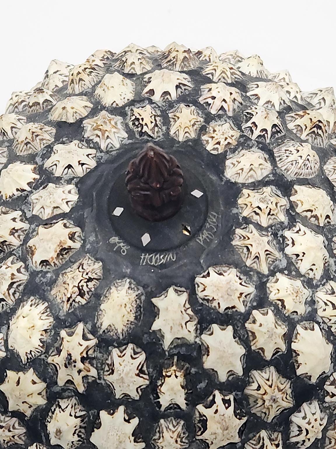 14-inch high signed Richard Hoosin Studio limpet shell shade 3-way switch lamp 1