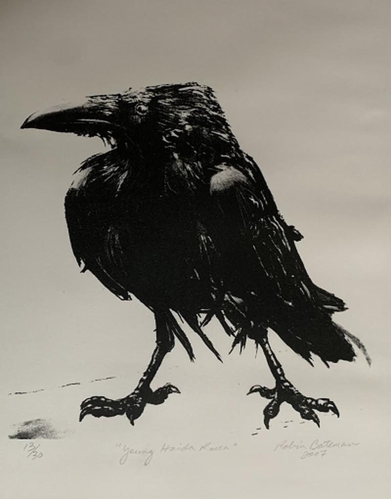  Young Haiden Raven, 2007  - Art by Robin Bateman
