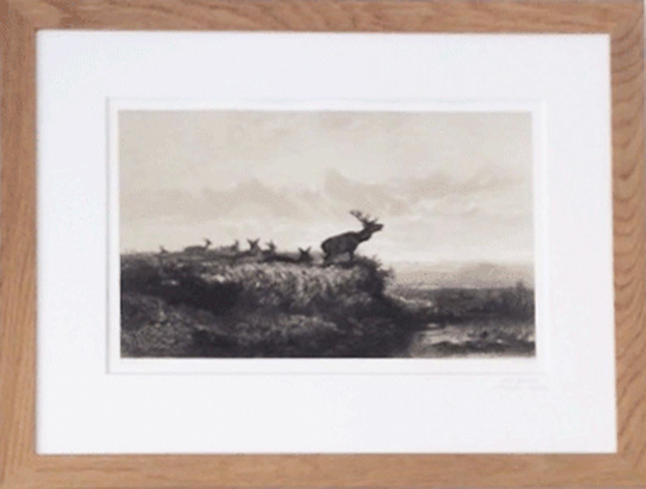 Karl Bodmer Landscape Art -  Le matin : Cerf et Biches, 1858 
