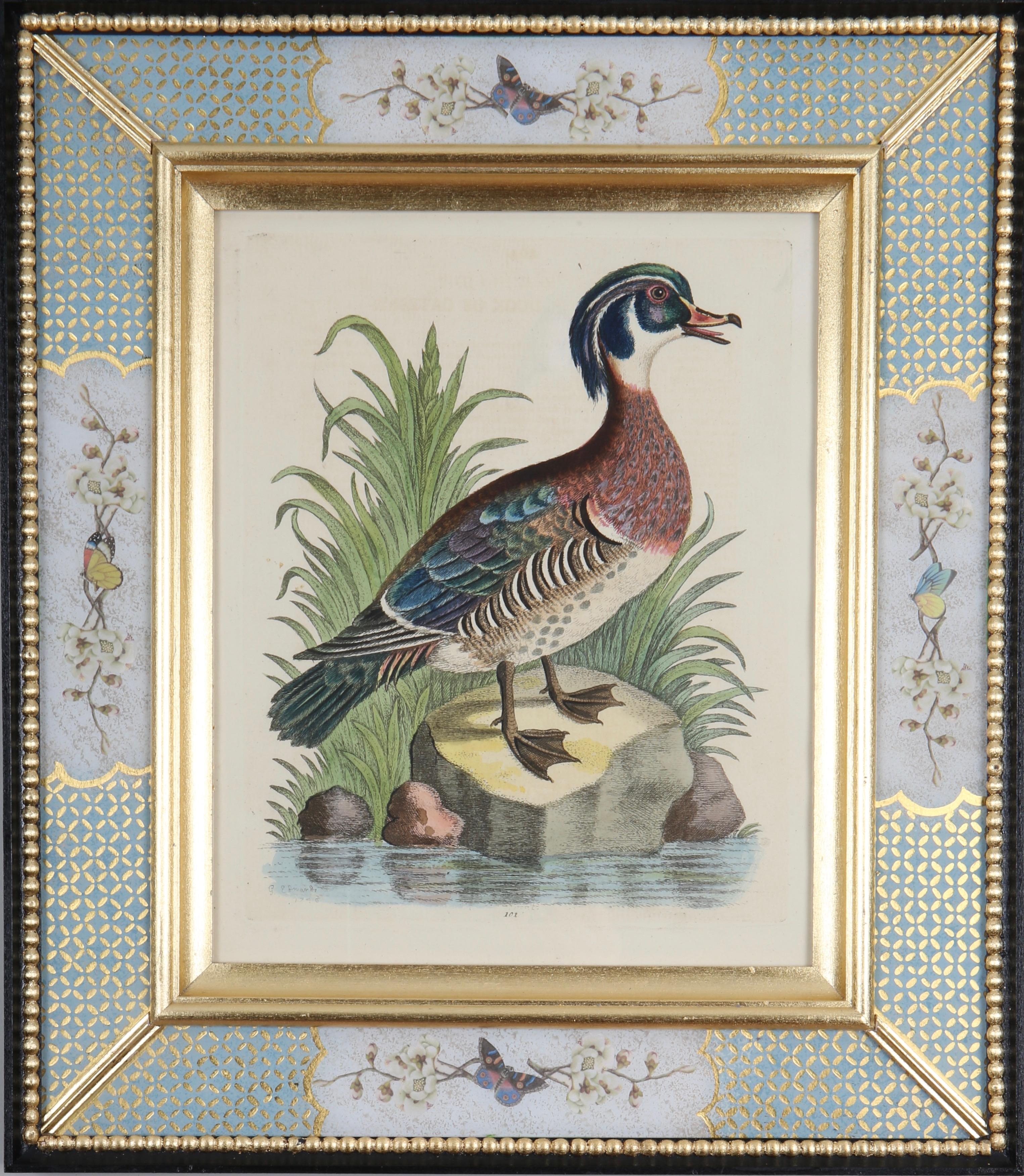 Set of Twelve 18th Century Engravings of Ducks And Wading Birds For Sale 1