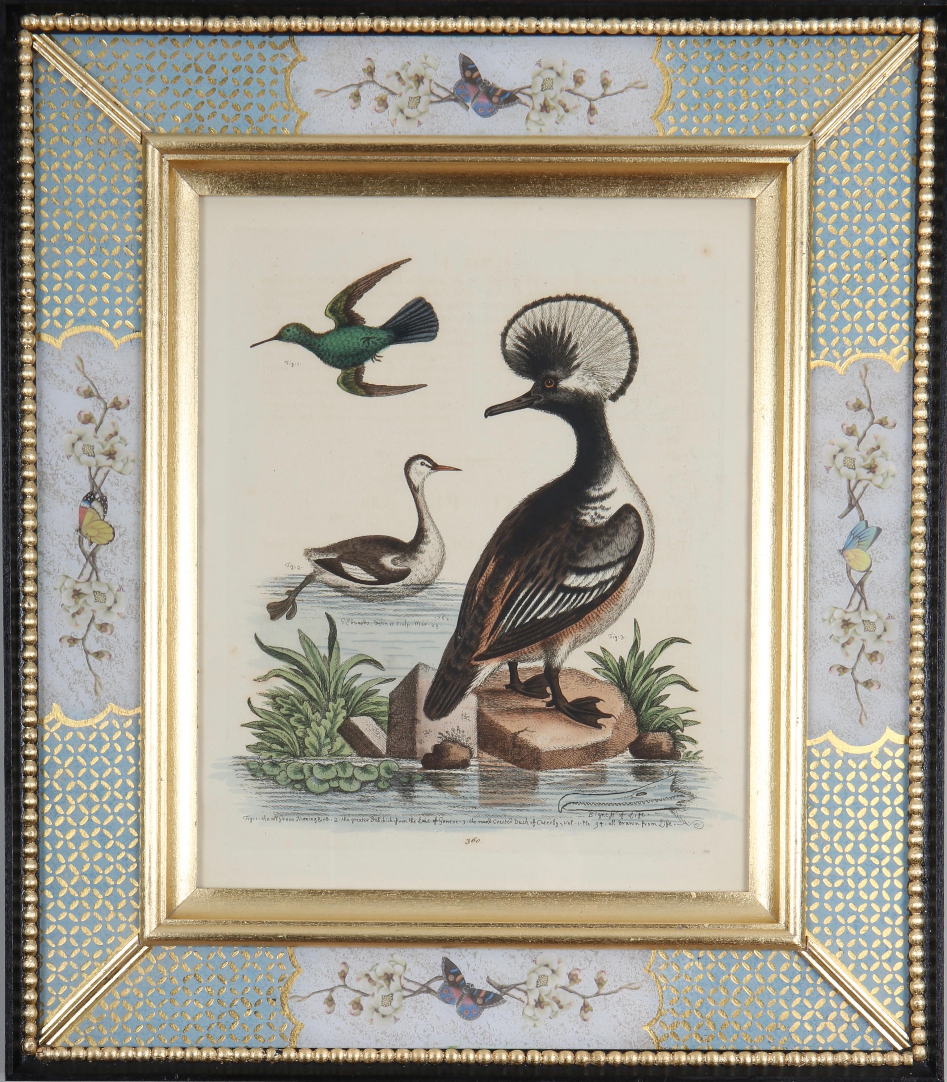Ensemble de douze gravures de canards et d'échassiers du XVIIIe siècle en vente 8
